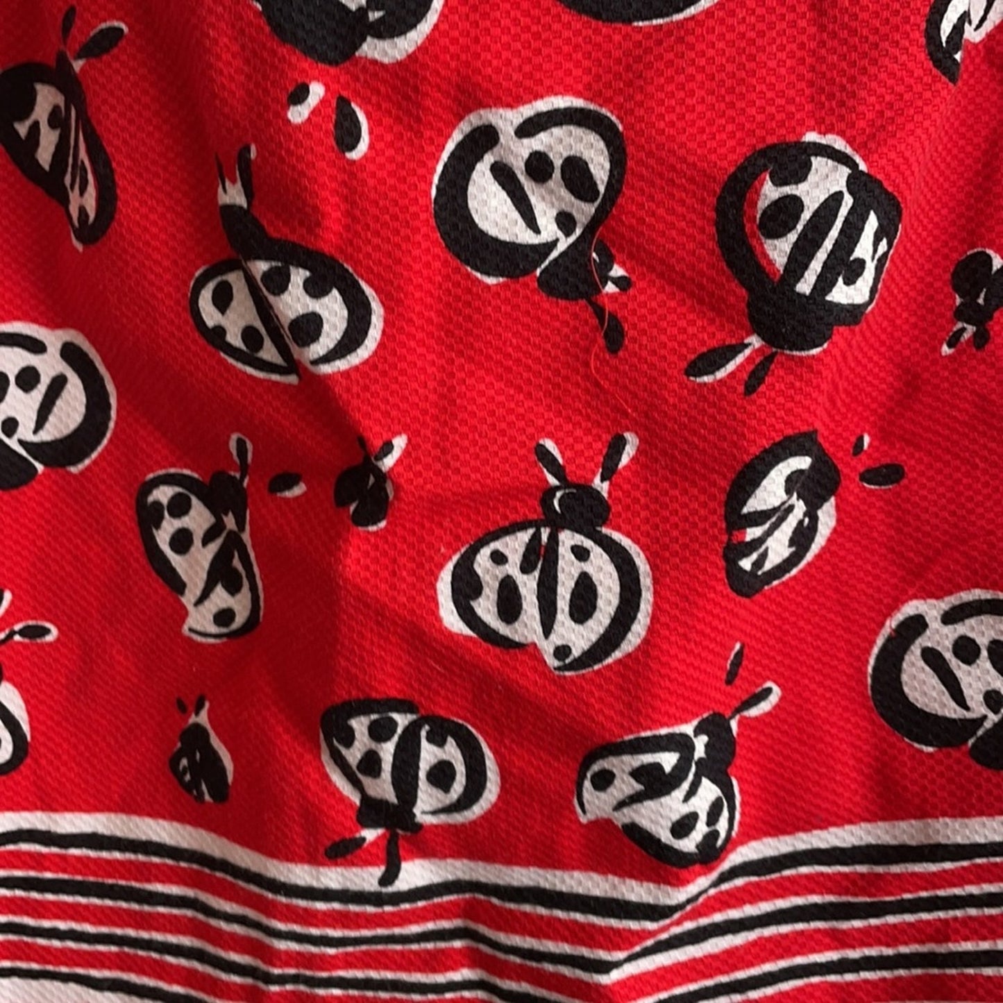 Adorable Talbots lady bug skirt
