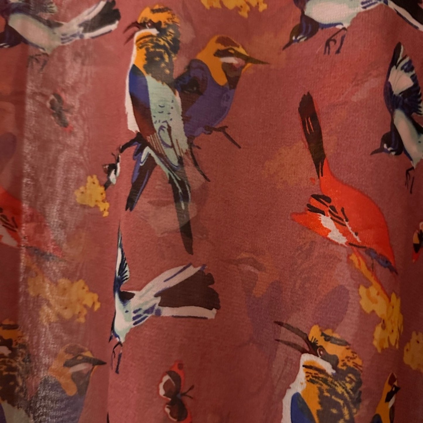 Trendology sheer chiffon bird print blouse size small