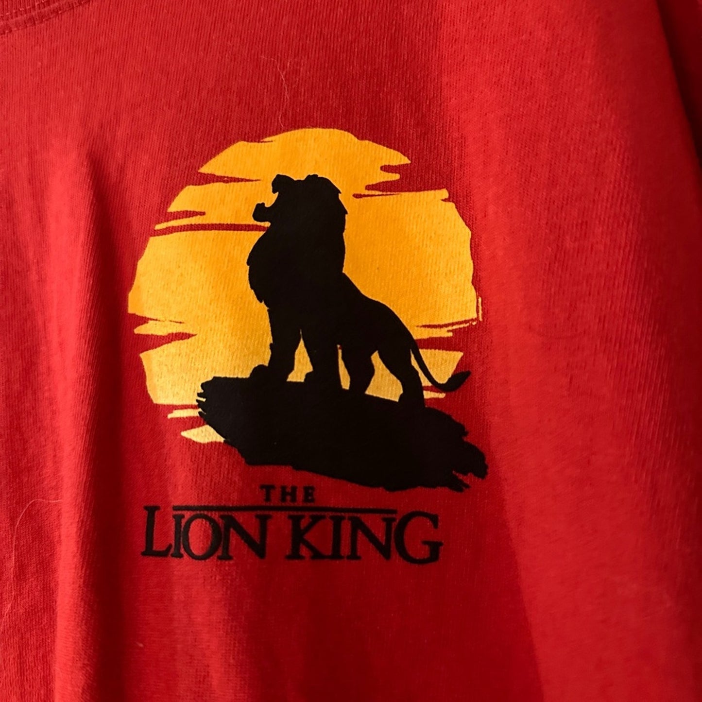 Disneyland the Lion King themed spirit jersey size large